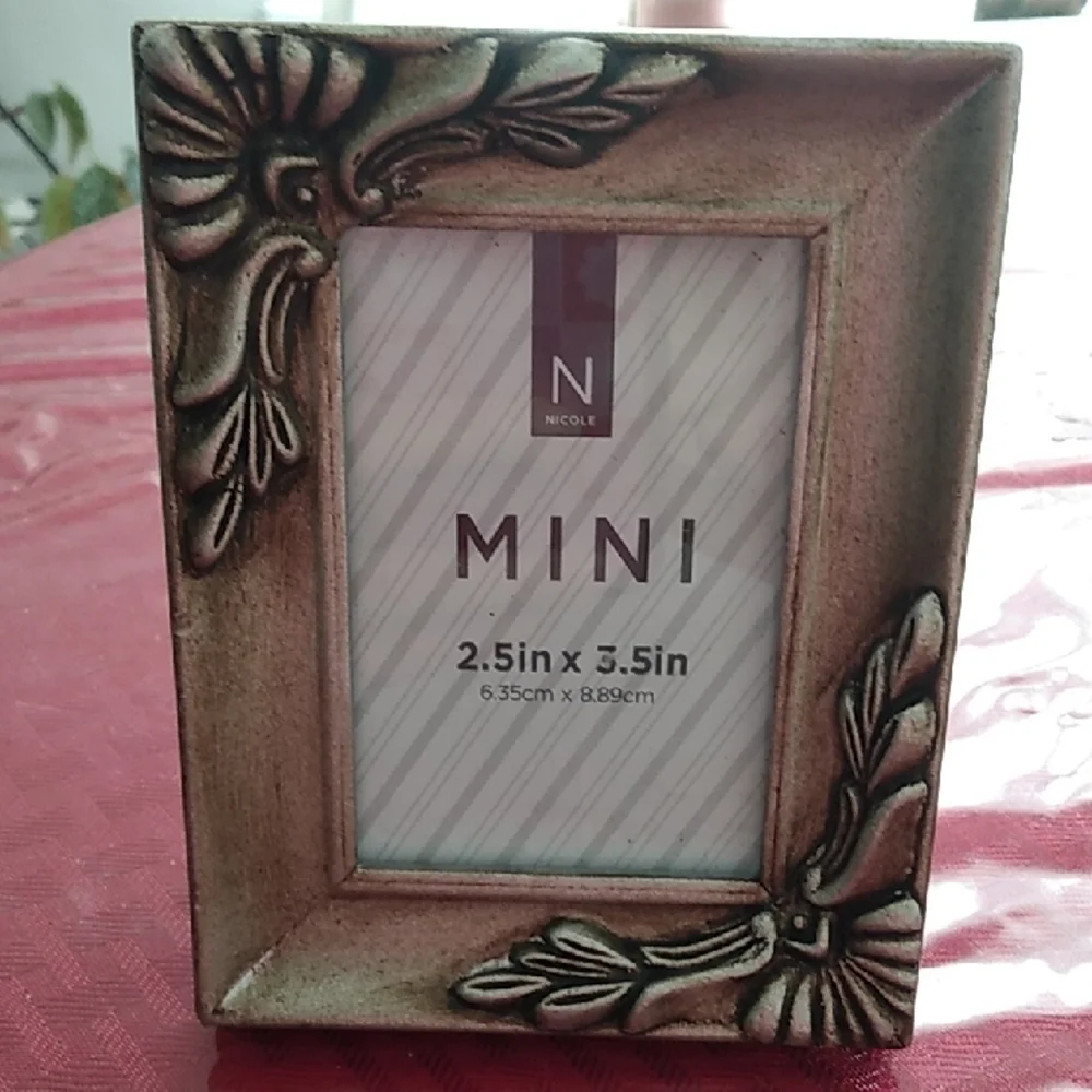 Nicole Decorative Photo Frame